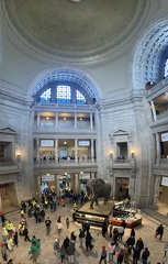 9 Natural History Museum